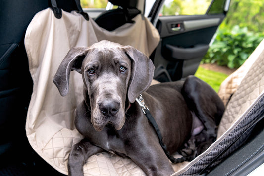 TuffutLuxx® Vehicle Protectors for Travel - BIG FRENCHIES