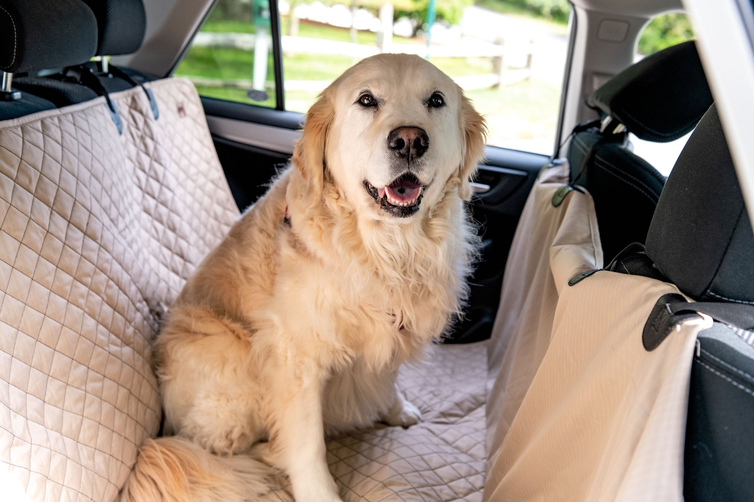 TuffutLuxx® Vehicle Protectors for Travel - BIG FRENCHIES