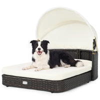 Rattan Pet Daybed with Adjustable Canopy for Small & Medium Dogs