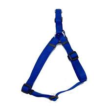 Harness Blue by Coastal