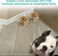 Haute Diggity Dog Chewy Vuiton Dog Bowl Set | BPA-Free, Non-Skid (2-Pack) - BIG FRENCHIES