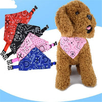 Adjustable Pet Bandana Scarf for Dogs & Cats – Stylish & Comfortable Accessory - BIG FRENCHIES