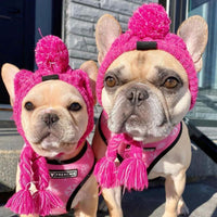 Autumn Winter Warm Knitted Pet Hats With Fluffy Ball - BIG FRENCHIES