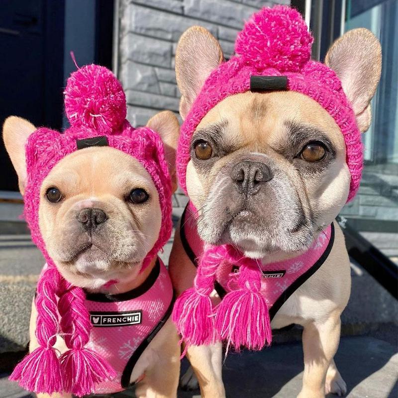 Autumn Winter Warm Knitted Pet Hats With Fluffy Ball - BIG FRENCHIES