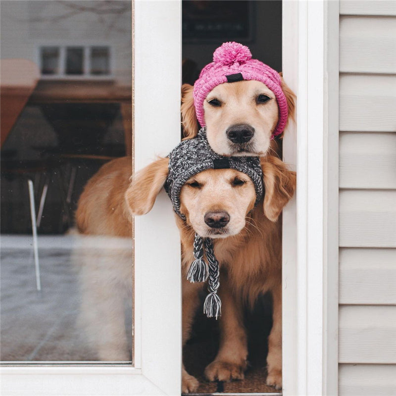 Autumn Winter Warm Knitted Pet Hats With Fluffy Ball - BIG FRENCHIES