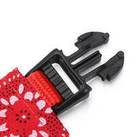 Adjustable Pet Bandana Scarf for Dogs & Cats – Stylish & Comfortable Accessory - BIG FRENCHIES