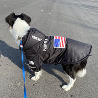 The Dog Face Windproof Waterproof Reflective Pet Cat Dog Jacket - BIG FRENCHIES