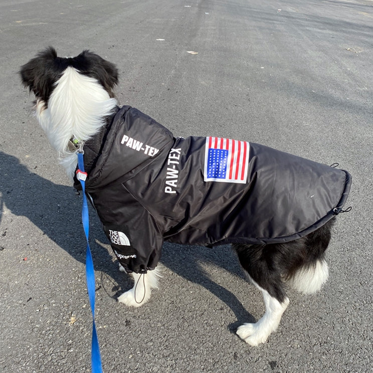 The Dog Face Windproof Waterproof Reflective Pet Cat Dog Jacket - BIG FRENCHIES