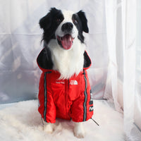 The Dog Face Windproof Waterproof Reflective Pet Cat Dog Jacket - BIG FRENCHIES