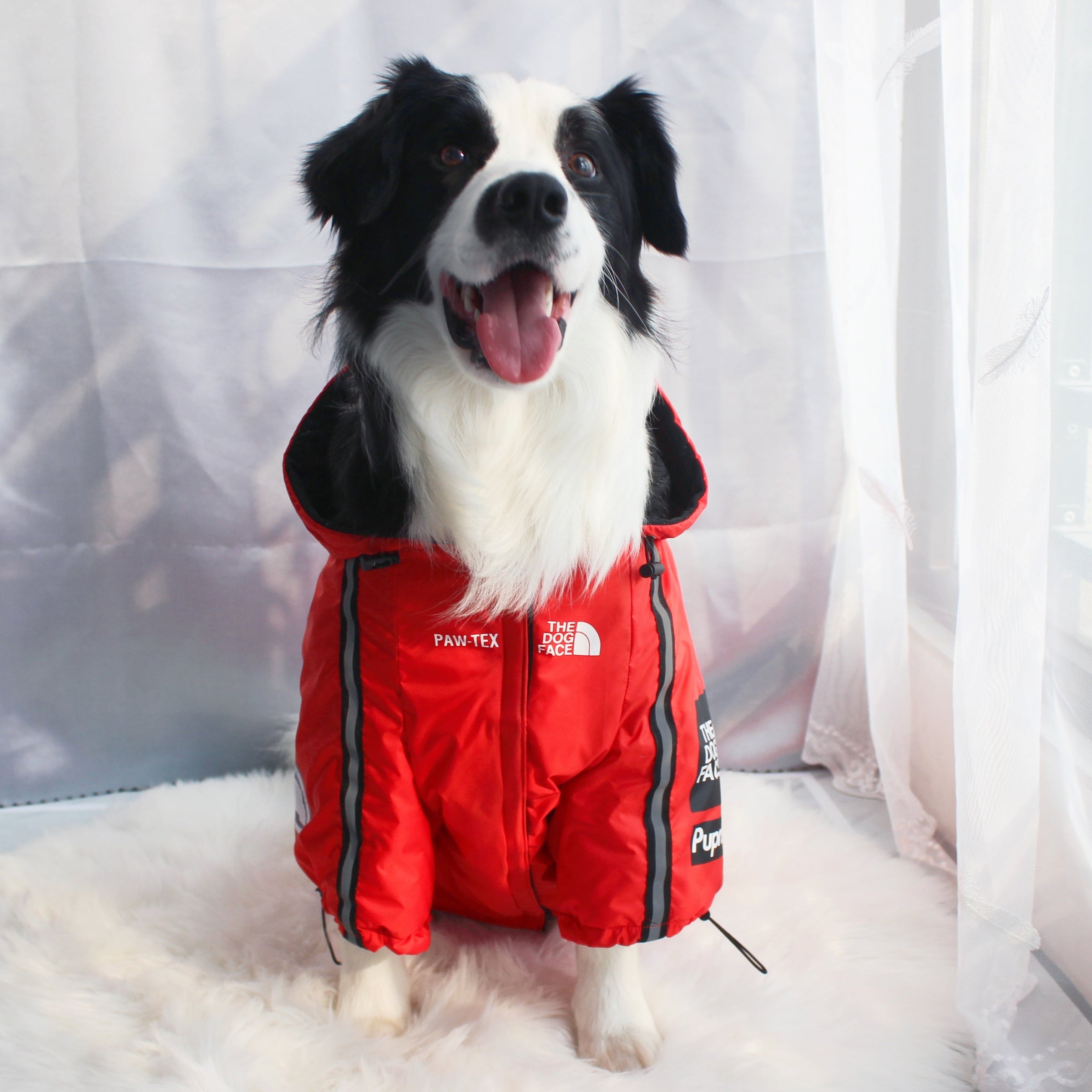 The Dog Face Windproof Waterproof Reflective Pet Cat Dog Jacket - BIG FRENCHIES