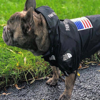 The Dog Face Windproof Waterproof Reflective Pet Cat Dog Jacket - BIG FRENCHIES