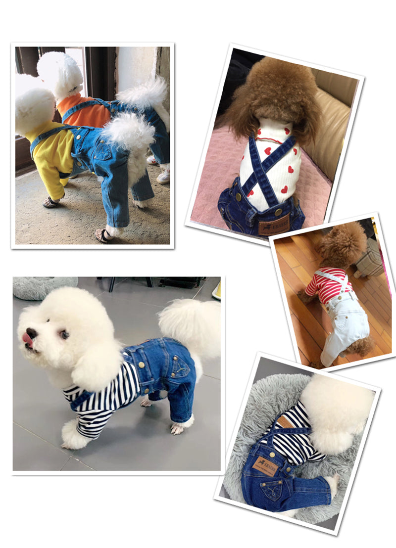 Denim Jumpsuit for Small Pets - BIG FRENCHIES