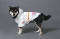 The Dog Face Windproof Waterproof Reflective Pet Cat Dog Jacket - BIG FRENCHIES