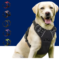 Heavy Duty Tactical Dog Harness with Handle - BIG FRENCHIES