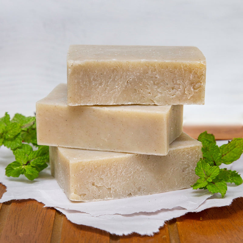 Herbal Mint Shampoo Bar - BIG FRENCHIES