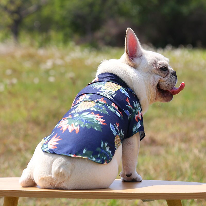 Hawaiian Pet Shirts - BIG FRENCHIES