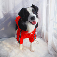 The Dog Face Windproof Waterproof Reflective Pet Cat Dog Jacket - BIG FRENCHIES