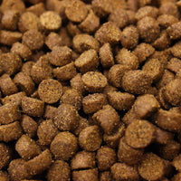 Higgins InTune Complete Grain Free Ferret Food High Protein Diet 4lbs.