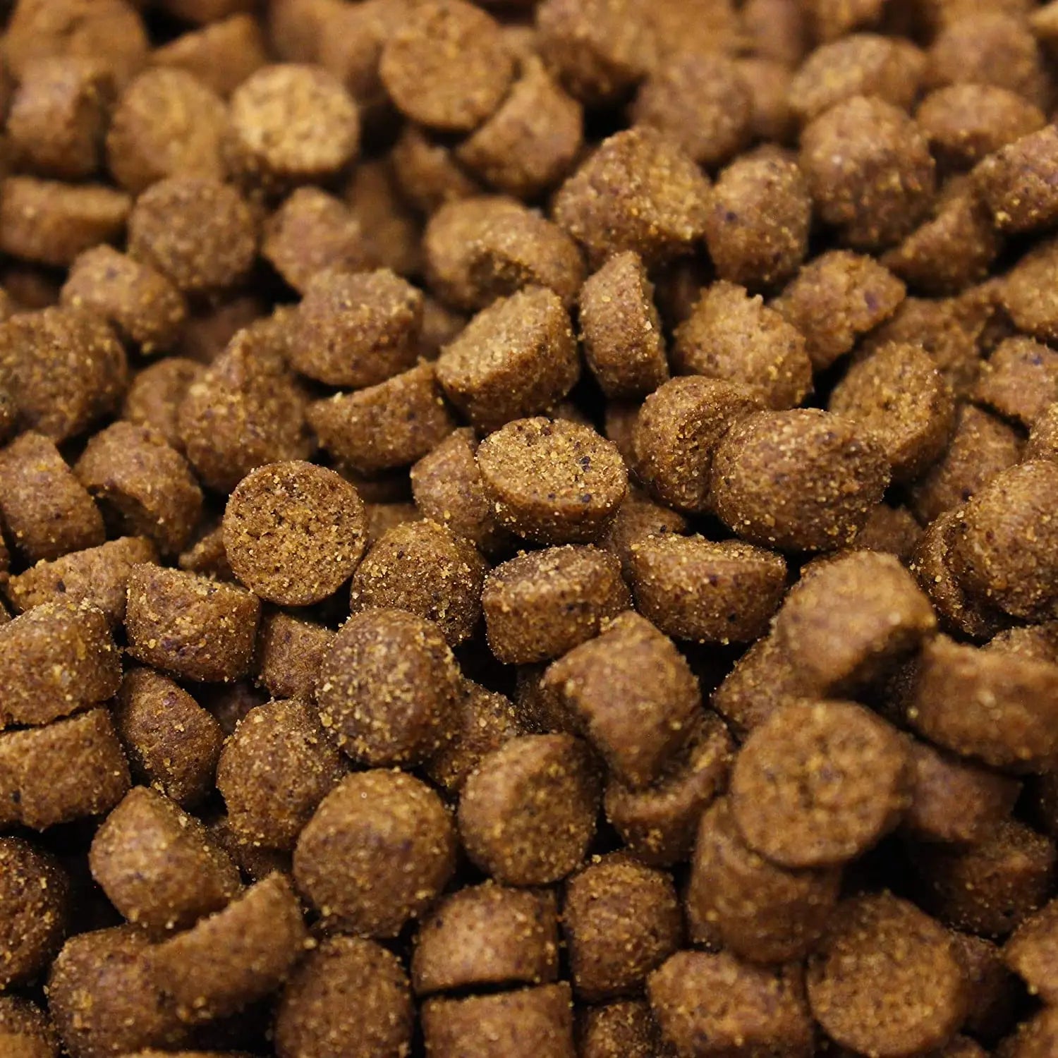 Higgins InTune Complete Grain Free Ferret Food High Protein Diet 4lbs.