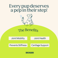 Hip & Joint Health