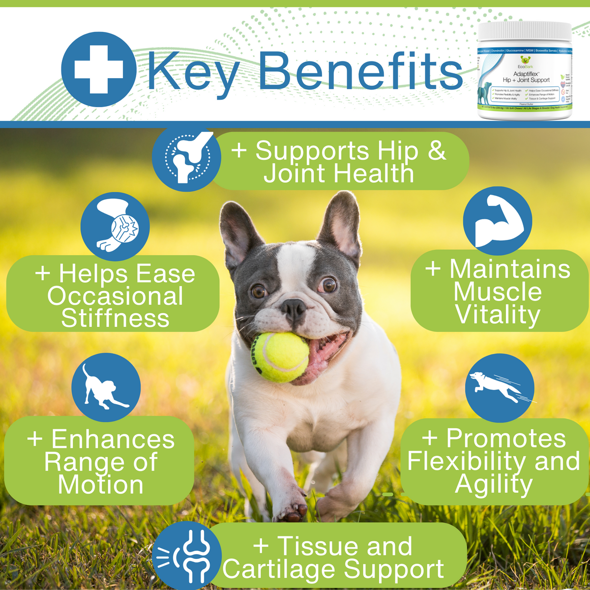 EcoBark Adaptiflex™ Hip and Joint Supplement for Dogs with Glucosamine, Chondroitin, and MSM - BIG FRENCHIES