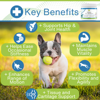 EcoBark Adaptiflex™ Hip and Joint Supplement for Dogs with Glucosamine, Chondroitin, and MSM - BIG FRENCHIES