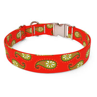 Holiday Paisley Dog Collar