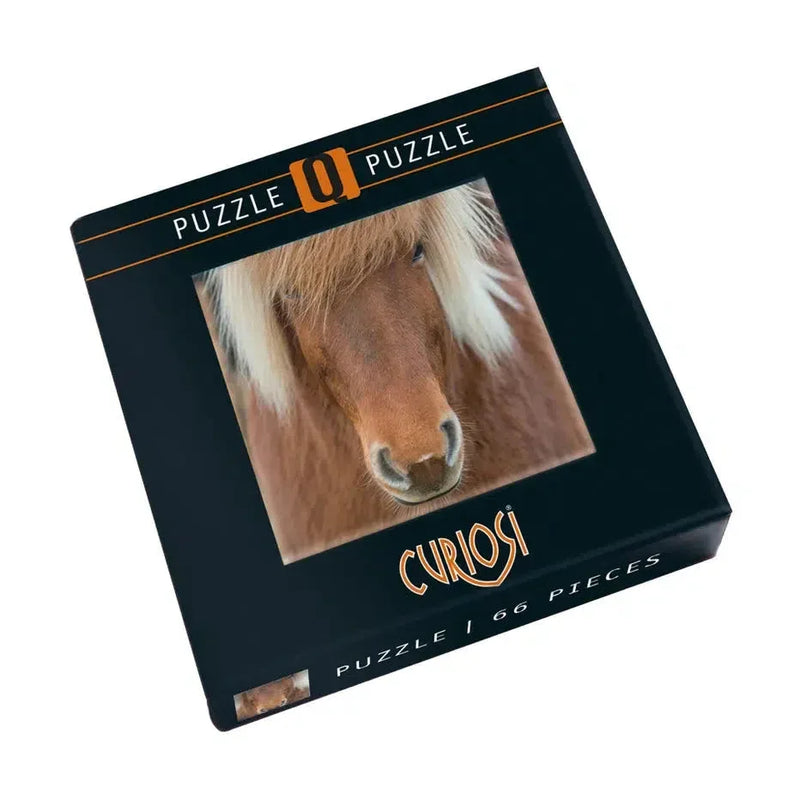Horse 66 Piece Pocket Jigsaw Puzzle Curiosi - BIG FRENCHIES