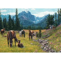 Horse Meadow 1000 Piece Jigsaw Puzzle Cobble Hill