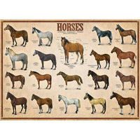 Horses 1000 Piece Jigsaw Puzzle Eurographics