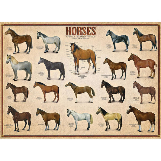 Horses 1000 Piece Jigsaw Puzzle Eurographics