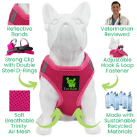 EcoBark Teacup Dog Harness - Step In Soft Mesh Reflective Dog Vest Halter for XXXS to Small Dogs and Puppies - BIG FRENCHIES