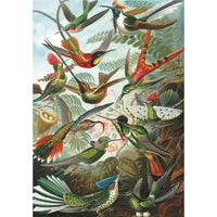 Hummingbirds 1000 Piece Jigsaw Puzzle Piatnik