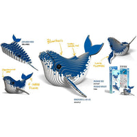 Humpback Whale 3D Cardboard Model Kit Eugy