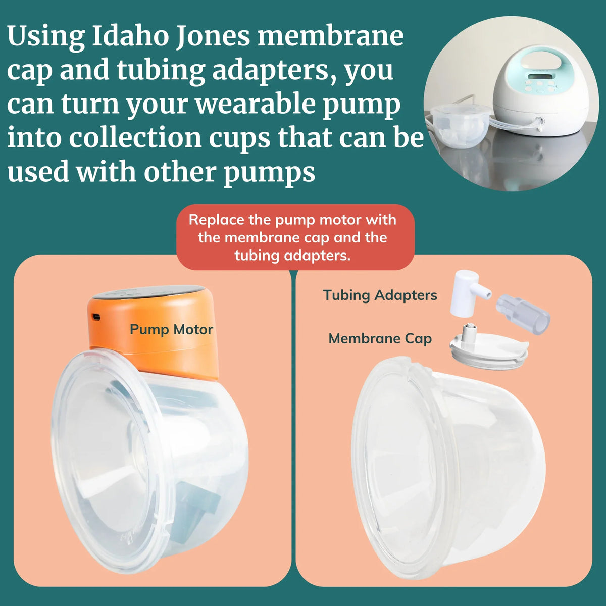 Membrane Caps for Wearable Pumps - BIG FRENCHIES