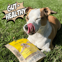 Allergy-Friendly Dog Treats, 6-Pack