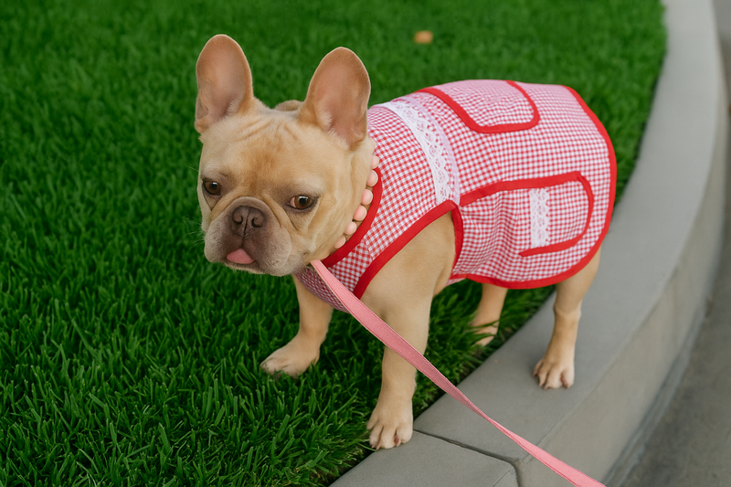 🇲🇽 Dogñitas – The Abuelita Mandil for Your Pup 🐶-Pet Apparel-BIG FRENCHIES-The Pup Gang Bakery LLC