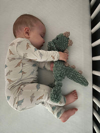 Snugglesaurus 2pc Henley Bamboo Pajamas - Sizes Newborn & Up! - BIG FRENCHIES