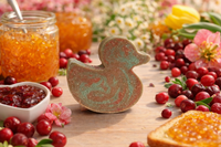 Duckville Duck Soap