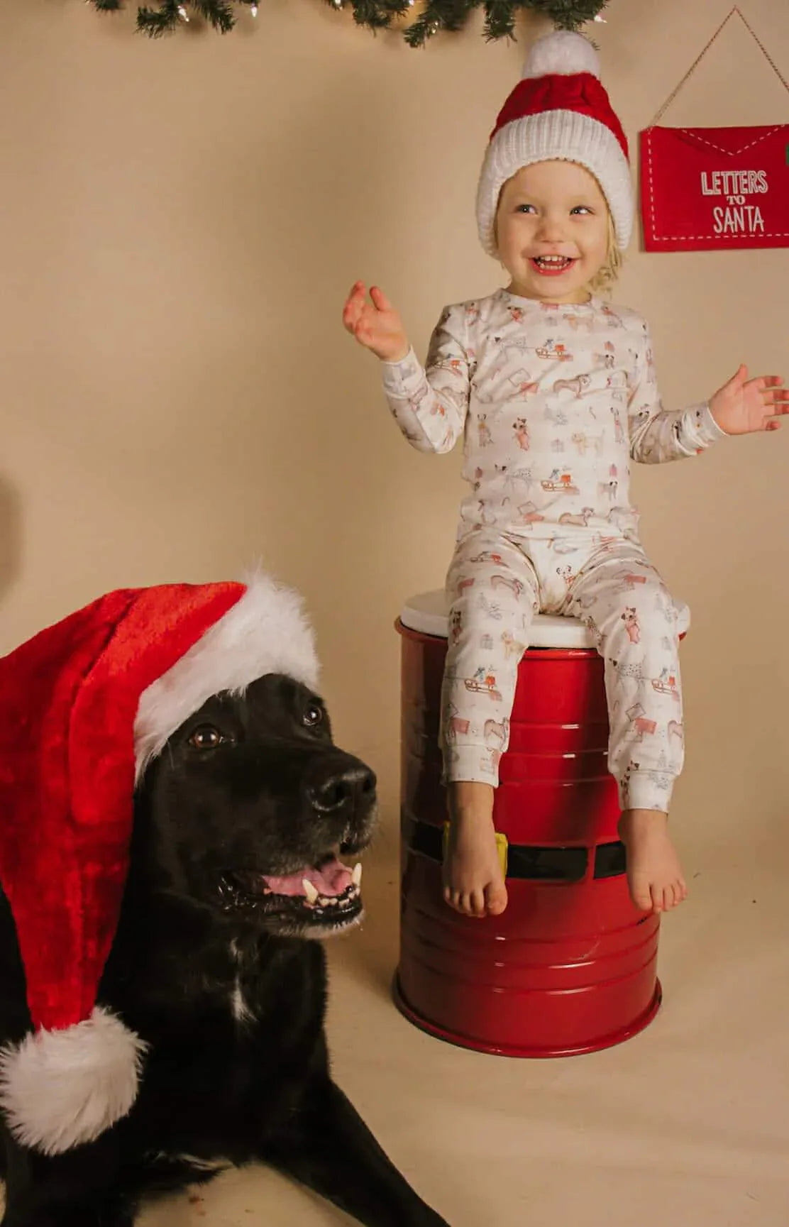 Santa Paws 2pc Bamboo Pajamas - BIG FRENCHIES