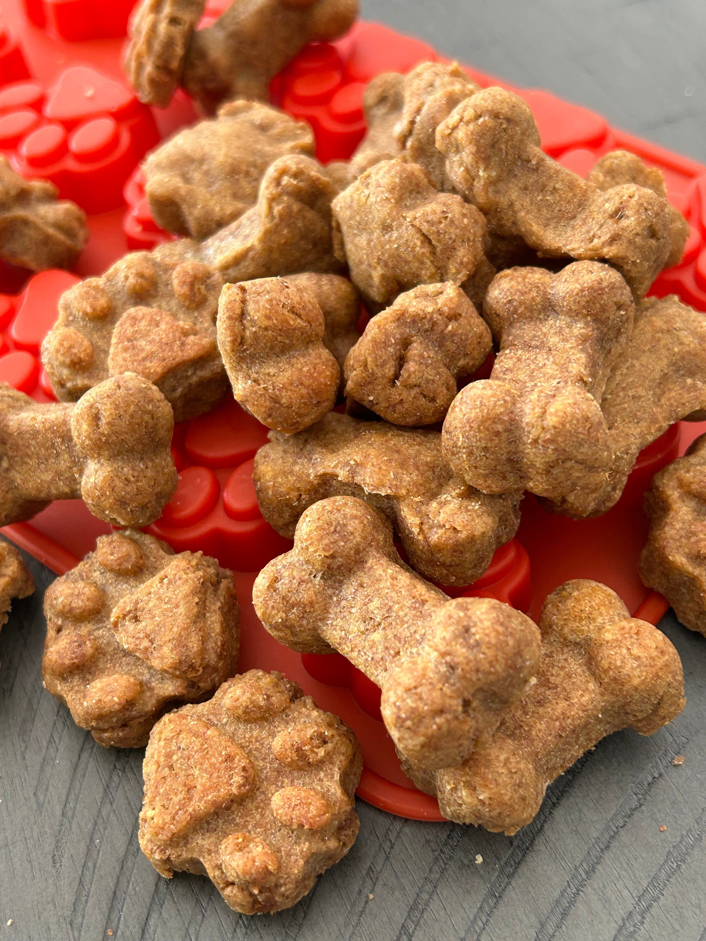 Lucy Loo Treats - Tilly’s Treat - Peanut Butter, Banana, & Bacon (5 oz. Bag) - BIG FRENCHIES