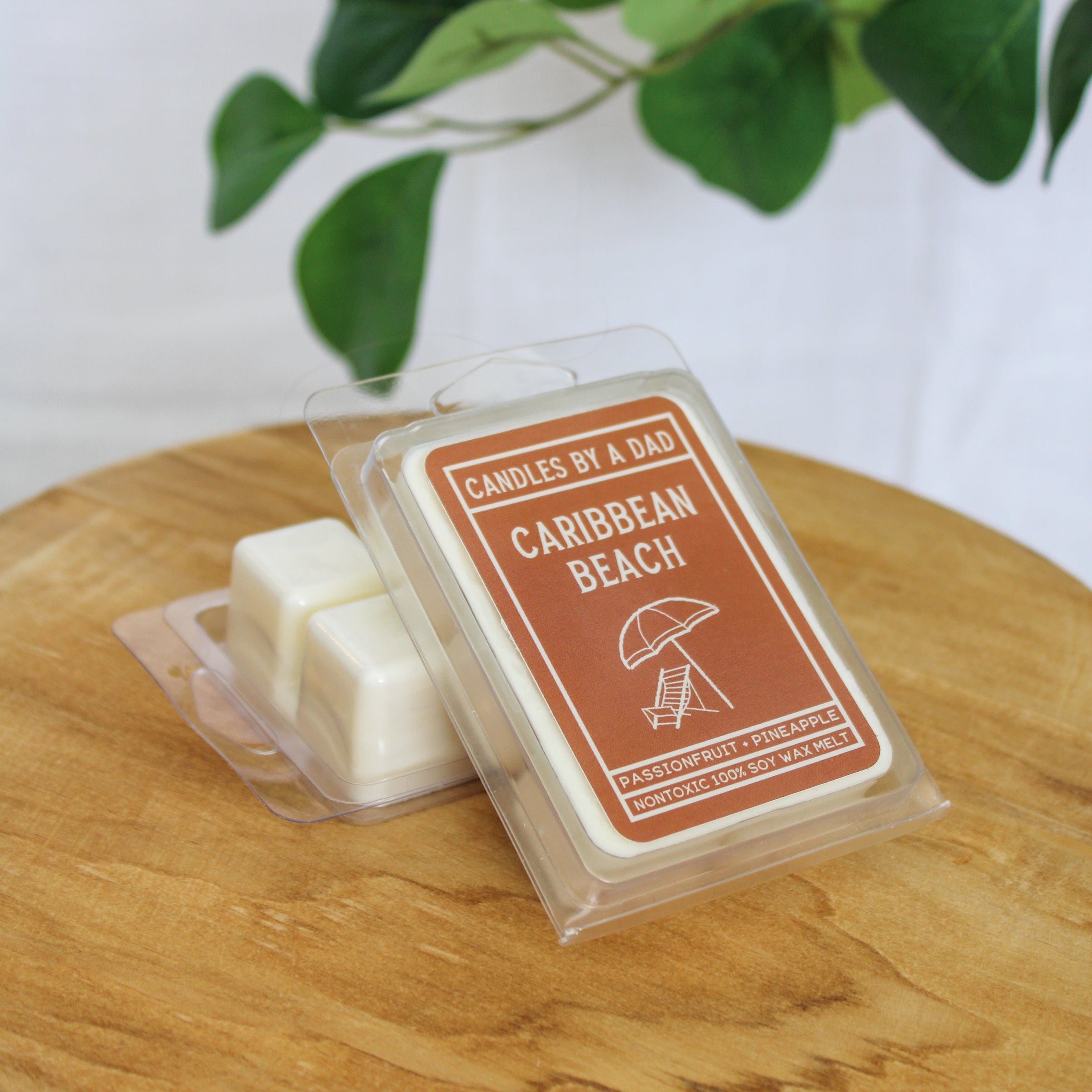 Caribbean Beach Wax Melt - BIG FRENCHIES
