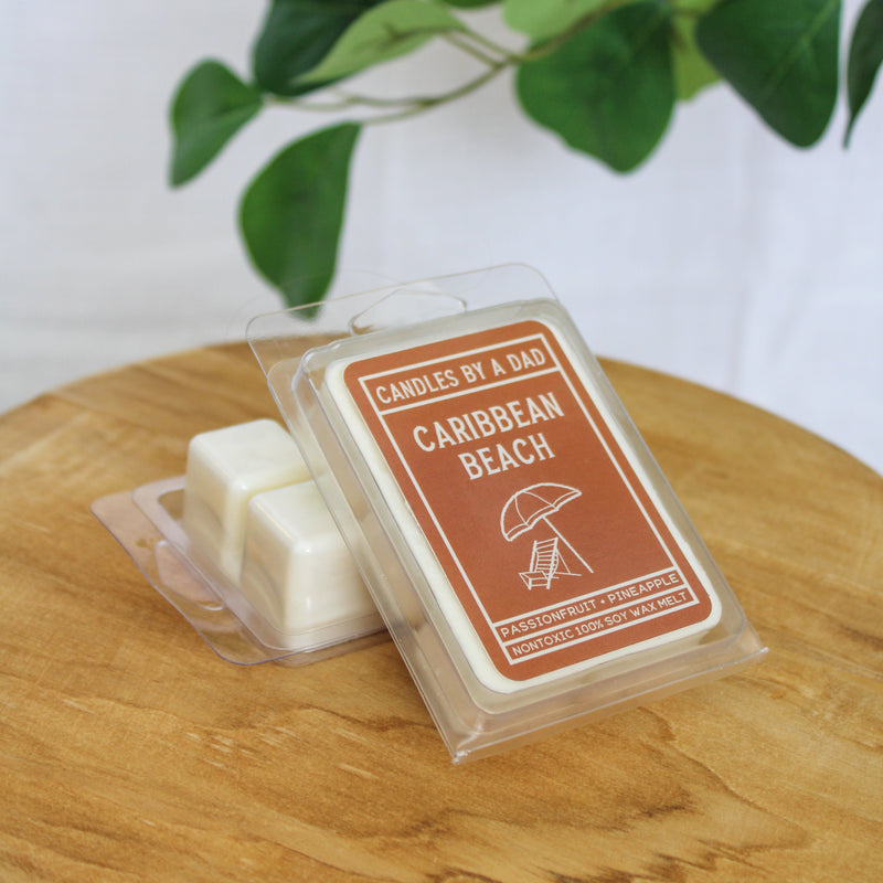 Caribbean Beach Wax Melt - BIG FRENCHIES