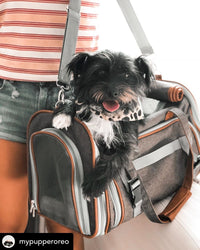 Mr. Peanut's Gold Series Mini Size Airline Compliant Expandable Pet Carrier - BIG FRENCHIES