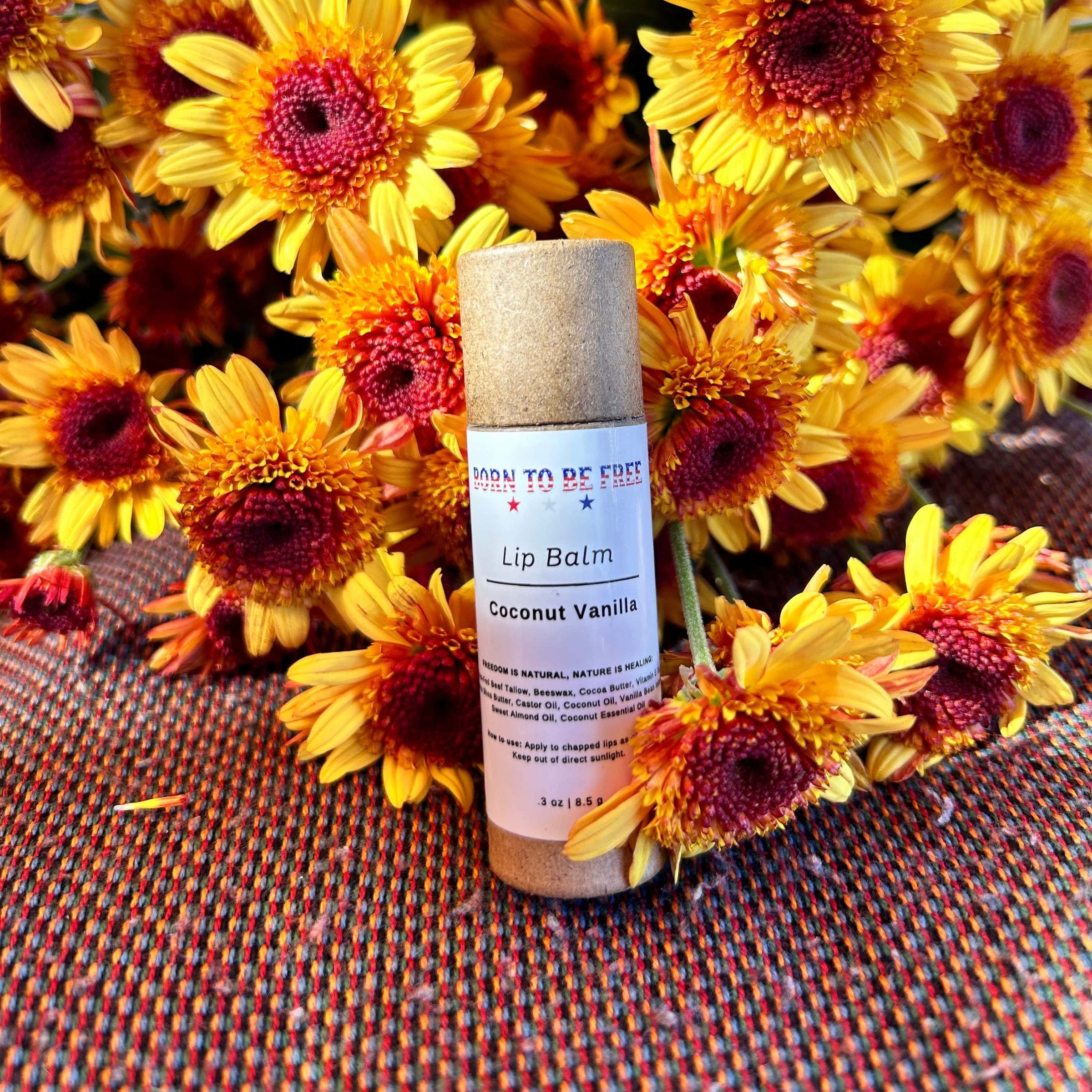 Coconut Vanilla Lip Balm - BIG FRENCHIES