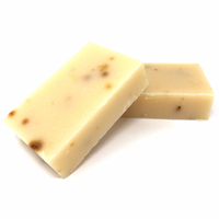 Mango + Papaya Enzyme Bar - BIG FRENCHIES