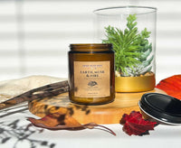 Earth Musk & Fire Tallow Candle - BIG FRENCHIES