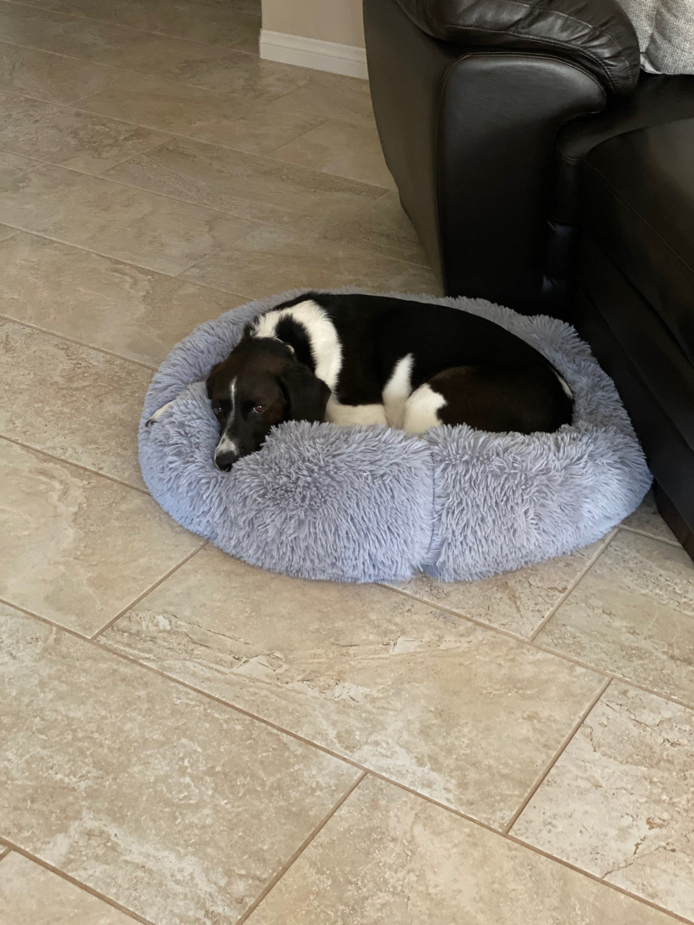 Mr. Peanut's 28" OrthoPlush® Pet Bed - Snowflake White Two Tone - BIG FRENCHIES