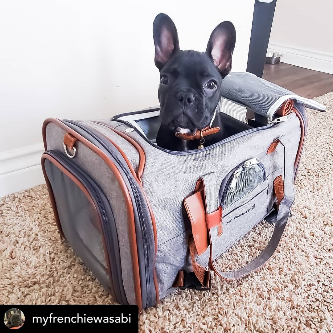 Mr. Peanut's Gold Series Standard Size Airline Compliant Pet Carrier - BIG FRENCHIES