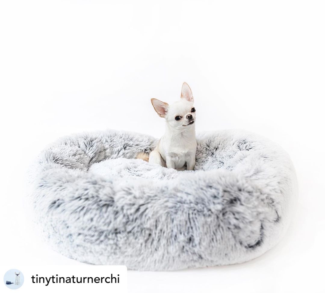 Mr. Peanut's 28" OrthoPlush® Pet Bed - Snowflake White Two Tone - BIG FRENCHIES